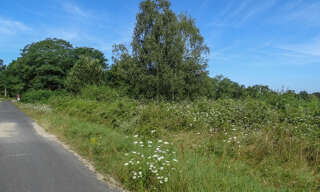 Photo N° 2