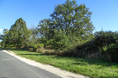 Terrain  21000 €