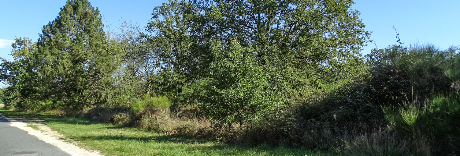 Terrain  1075 m² à vendre à Saint-Julien-sur-Cher (41320)