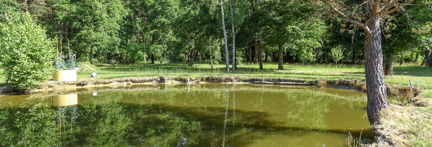 Photo N° 2