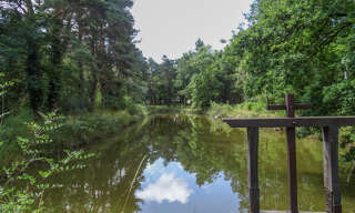 Terrain  5081 m² à vendre à Villefranche-sur-Cher (41200)