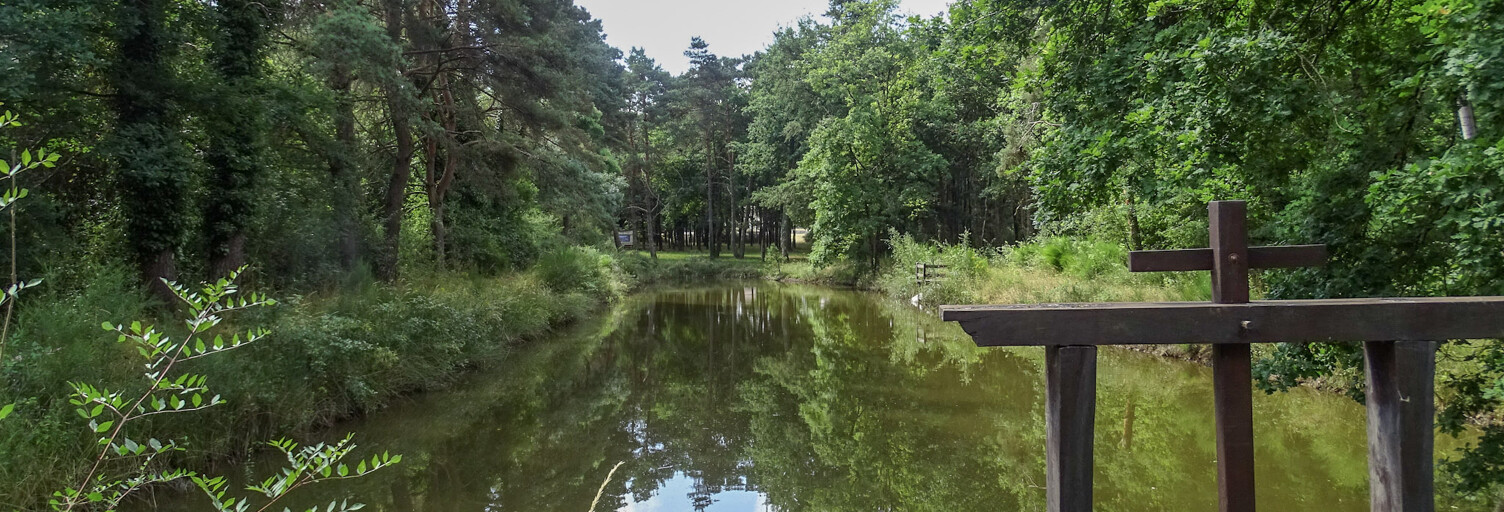 Terrain  5081 m² à vendre à Villefranche-sur-Cher (41200)