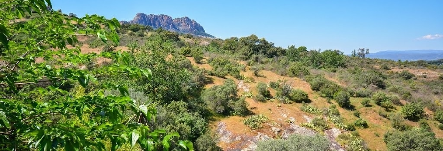 Maison 4 Pièces 109 m² à vendre à Roquebrune-sur-Argens (83520)