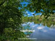   Propriété au bord du Lot – Havre de paix pour les amoureux de nature et de pêche   LAFITTE SUR LOT (47) — photo 3