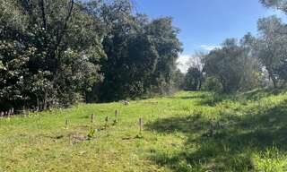 Terrain 800 m² à construire Saint-Maximin-la-Sainte-Baume (83470)