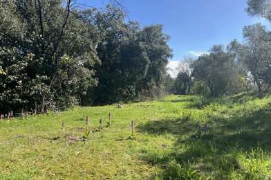 Terrain  169000 €
