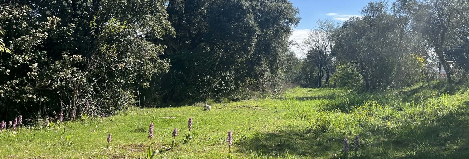 Terrain 800 m² à construire Saint-Maximin-la-Sainte-Baume (83470)