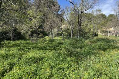 Terrain  345000 €