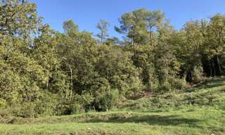 Terrain 5600 m² à construire Rocbaron (83136)
