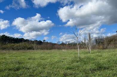 Terrain  131000 €