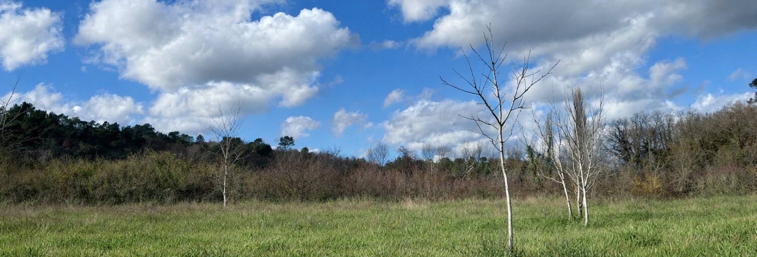 Terrain 570 m² à construire Saint-Maximin-la-Sainte-Baume (83470)
