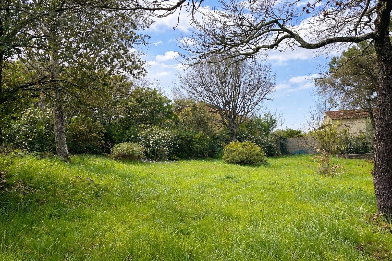 Terrain  à vendre Carnoules 83660