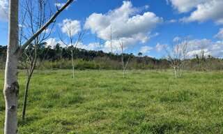 Terrain 574 m² à construire Tourves (83170)