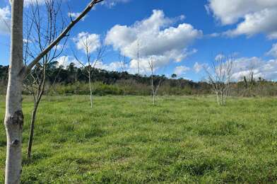 Terrain  131000 €