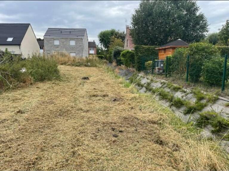Terrain — photo 1