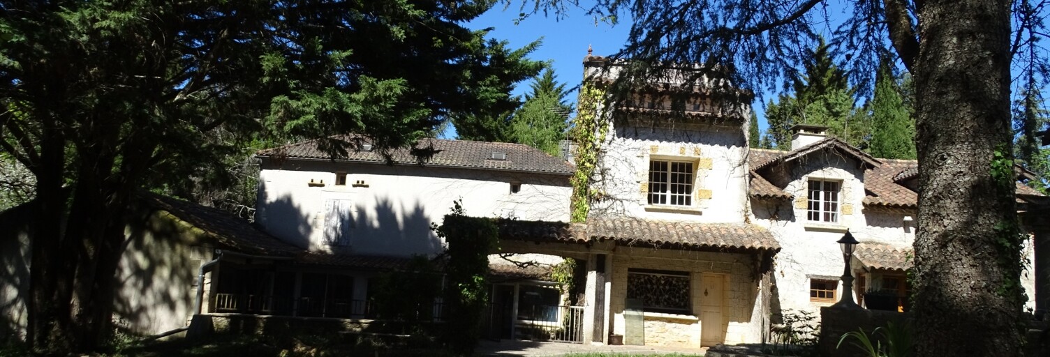 Maison 10 Pièces 295 m² à vendre à Puy-l'Évêque (46700)