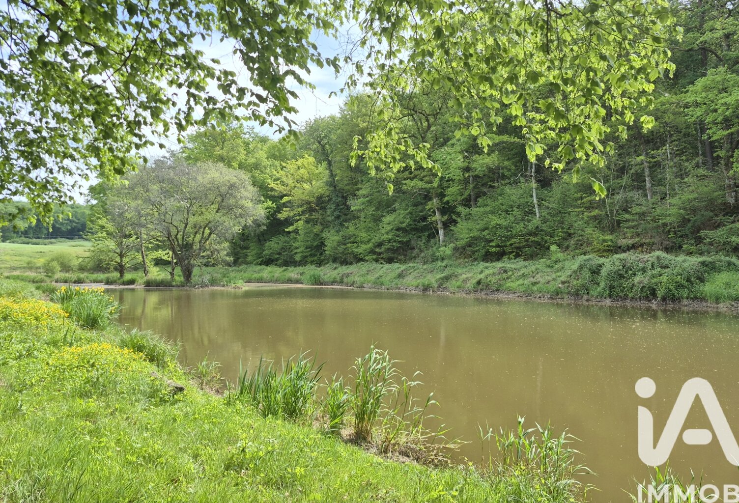 Vente Terrain 21 498 m&sup2; — photo 1