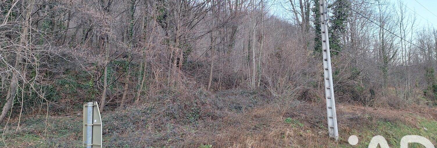 Terrain  51000 m² à vendre à Prats-de-Mollo-la-Preste (66230)