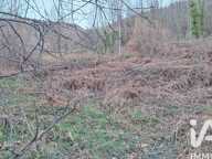 Vente Terrain agricole 51 000 m&sup2; — photo 2