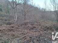 Vente Terrain agricole 51 000 m&sup2; — photo 3