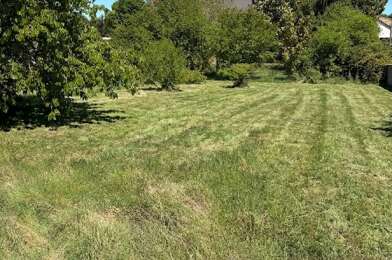 Terrain  65000 €