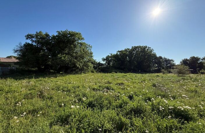 Terrain À Vendre — photo 2