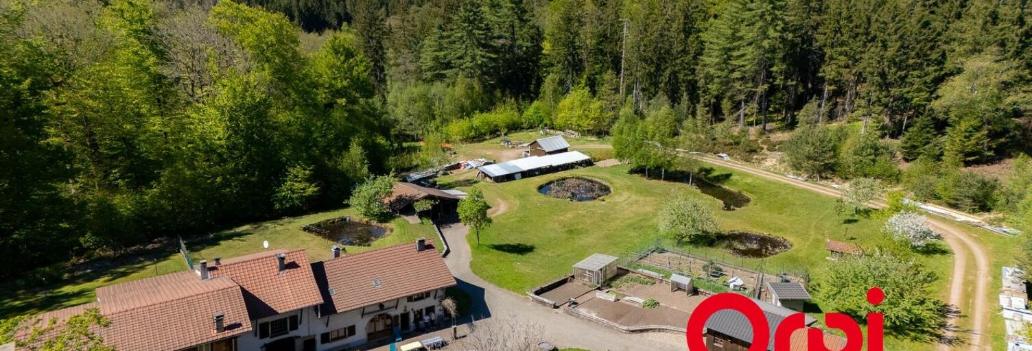 Maison 6 Pièces 145 m² à vendre à Saint-Nabord (88200)