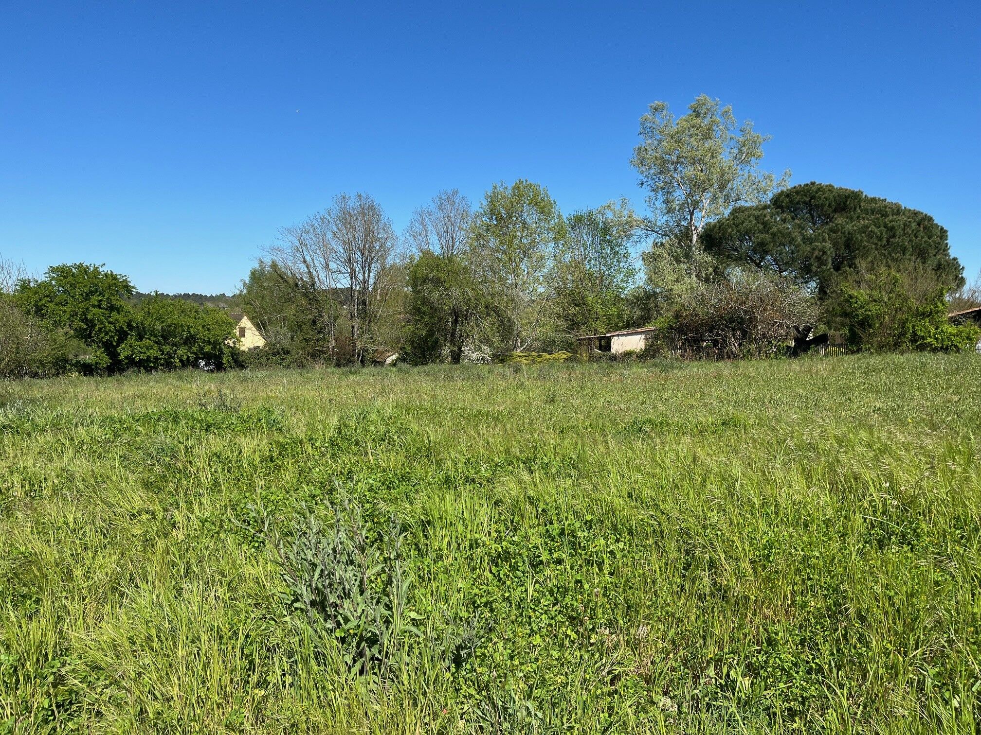 Agence immobilière de Les maisons Aura de Bergerac