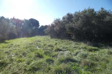 Terrain  349500 €