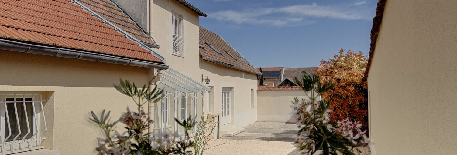 Maison 9 Pièces 227 m² à vendre à Montbré (51500)