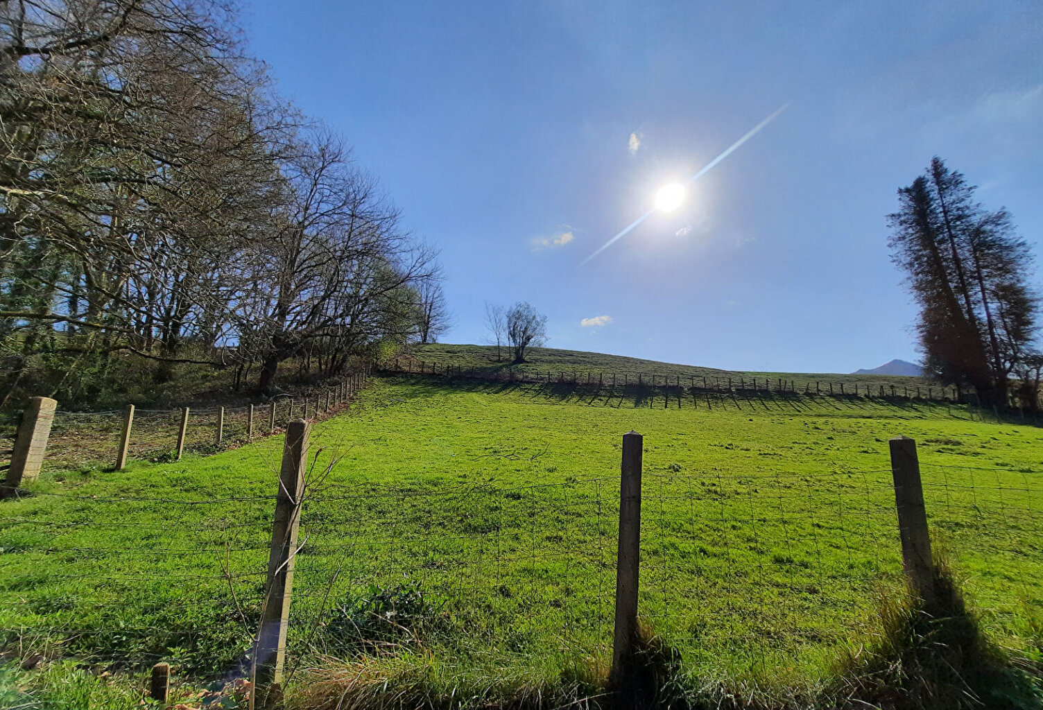 Terrain Sare 600 m2 — photo 1