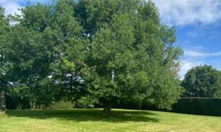 Terrain 380 m² à construire Preignac (33210)