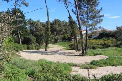 Terrain  189000 €