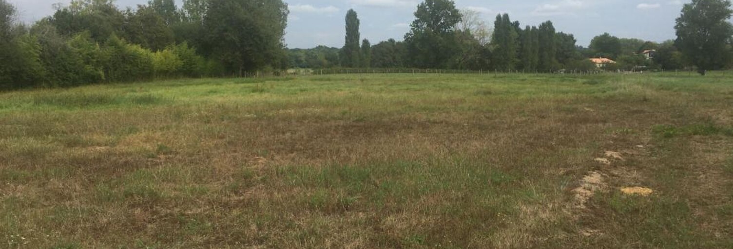 Terrain 613 m² à construire Cavignac (33620)