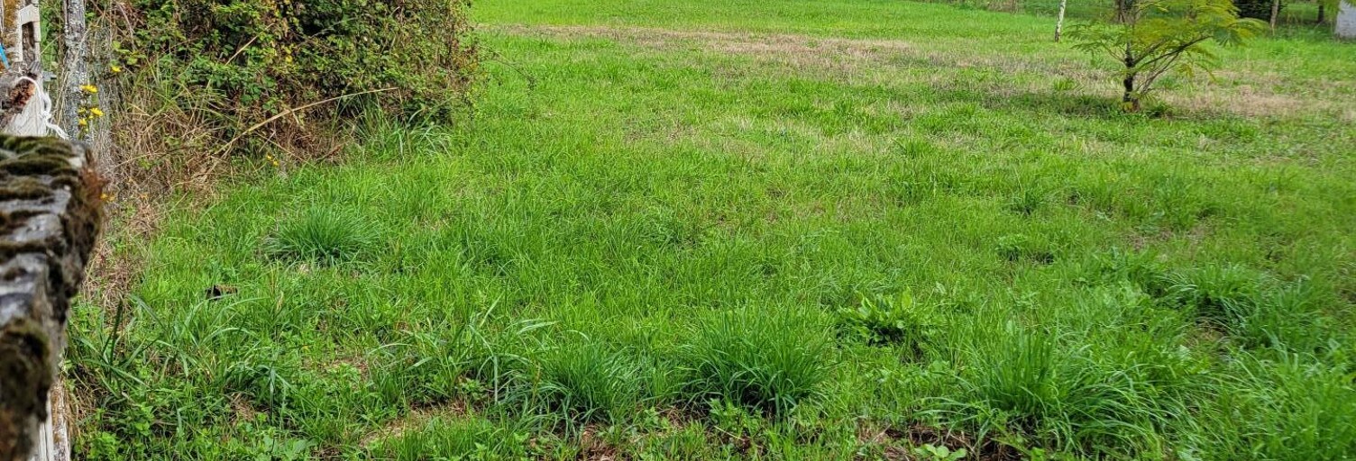 Terrain  1170 m² à vendre à Saint-Aulaye-Puymangou (24410)