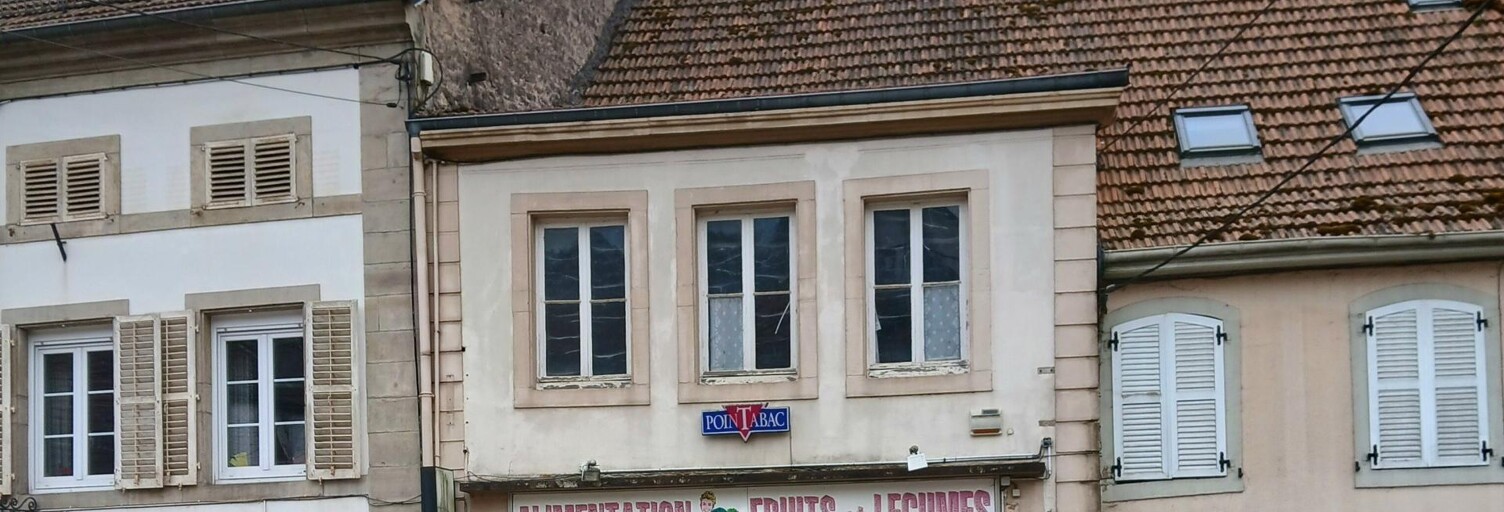 Commerce 2 Pièces 160 m² à vendre à Abreschviller (57560)
