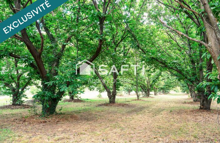 07140 Chambonas : Ensemble immobilier de 4 logements avce Piscine et chataigneraie — photo 3