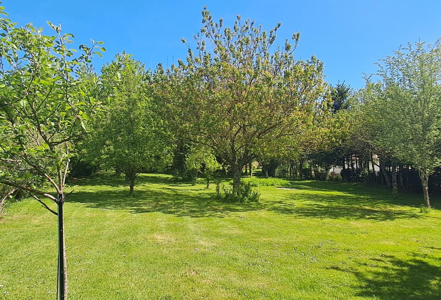 Beau terrain à bâtir — photo 1