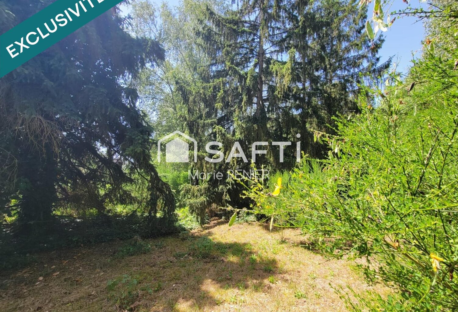 Terrain 2 790 m² arboré avec permis  Échemiré, cadre agréable — photo 1