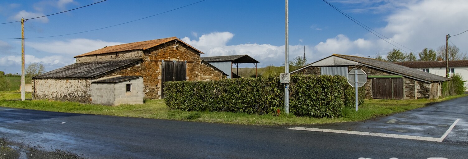 Maison 10 Pièces 295 m² à vendre à Chavagnes-en-Paillers (85250)