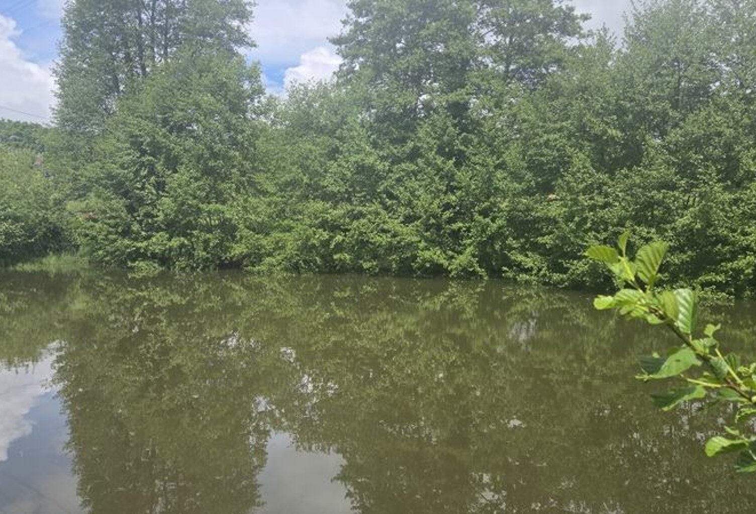 Etang de 0 pièces principales — photo 1