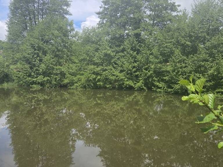 Etang de 0 pièces principales — photo 1
