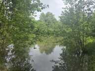 Etang de 0 pièces principales — photo 2