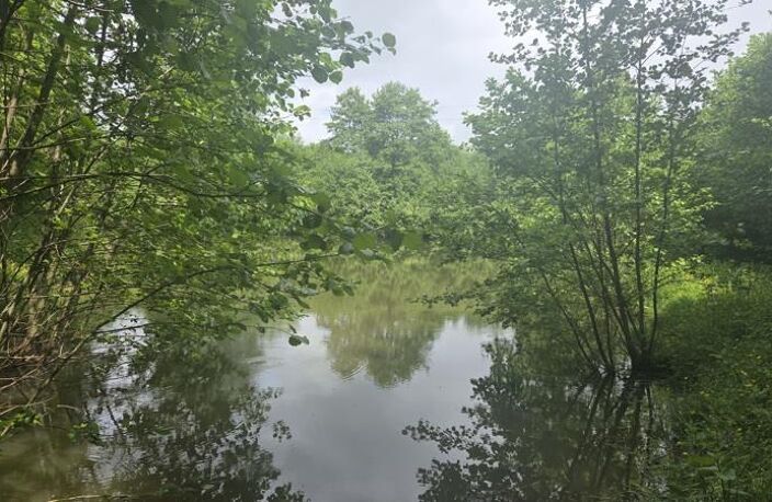 Etang de 0 pièces principales — photo 2