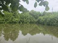 Etang de 0 pièces principales — photo 3