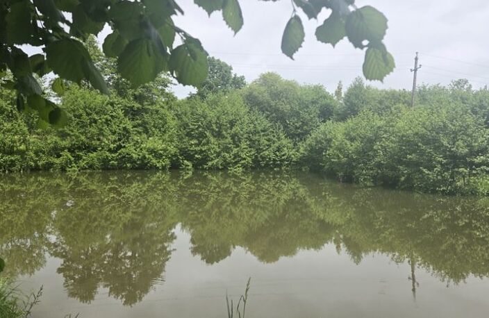 Etang de 0 pièces principales — photo 3