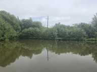 Etang de 0 pièces principales — photo 4
