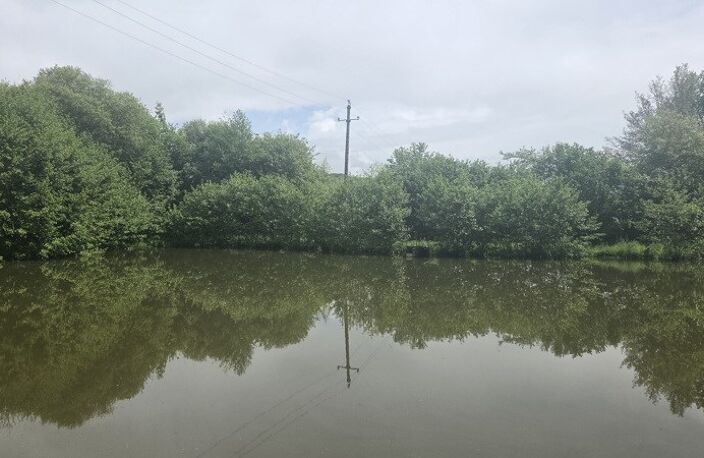 Etang de 0 pièces principales — photo 4
