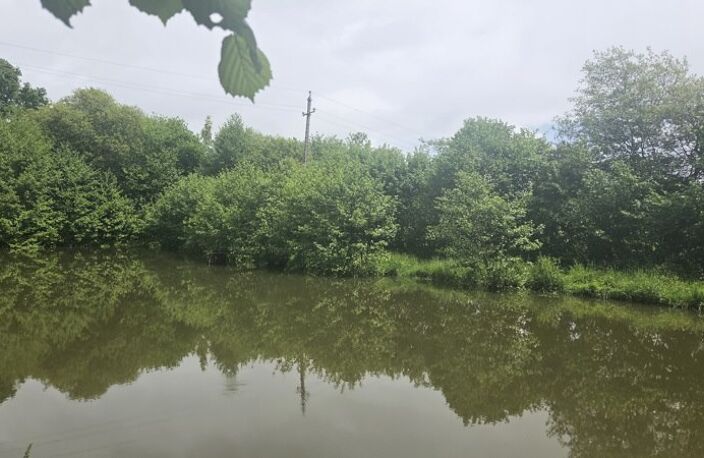 Etang de 0 pièces principales — photo 5