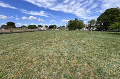 Terrain  56000 €